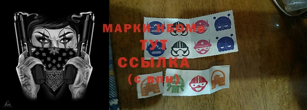 сатива Балахна