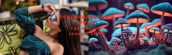 мяу мяу мука Баксан