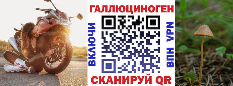 Псилоцибиновые грибы MAGIC MUSHROOMS  кракен вход  Пикалёво 